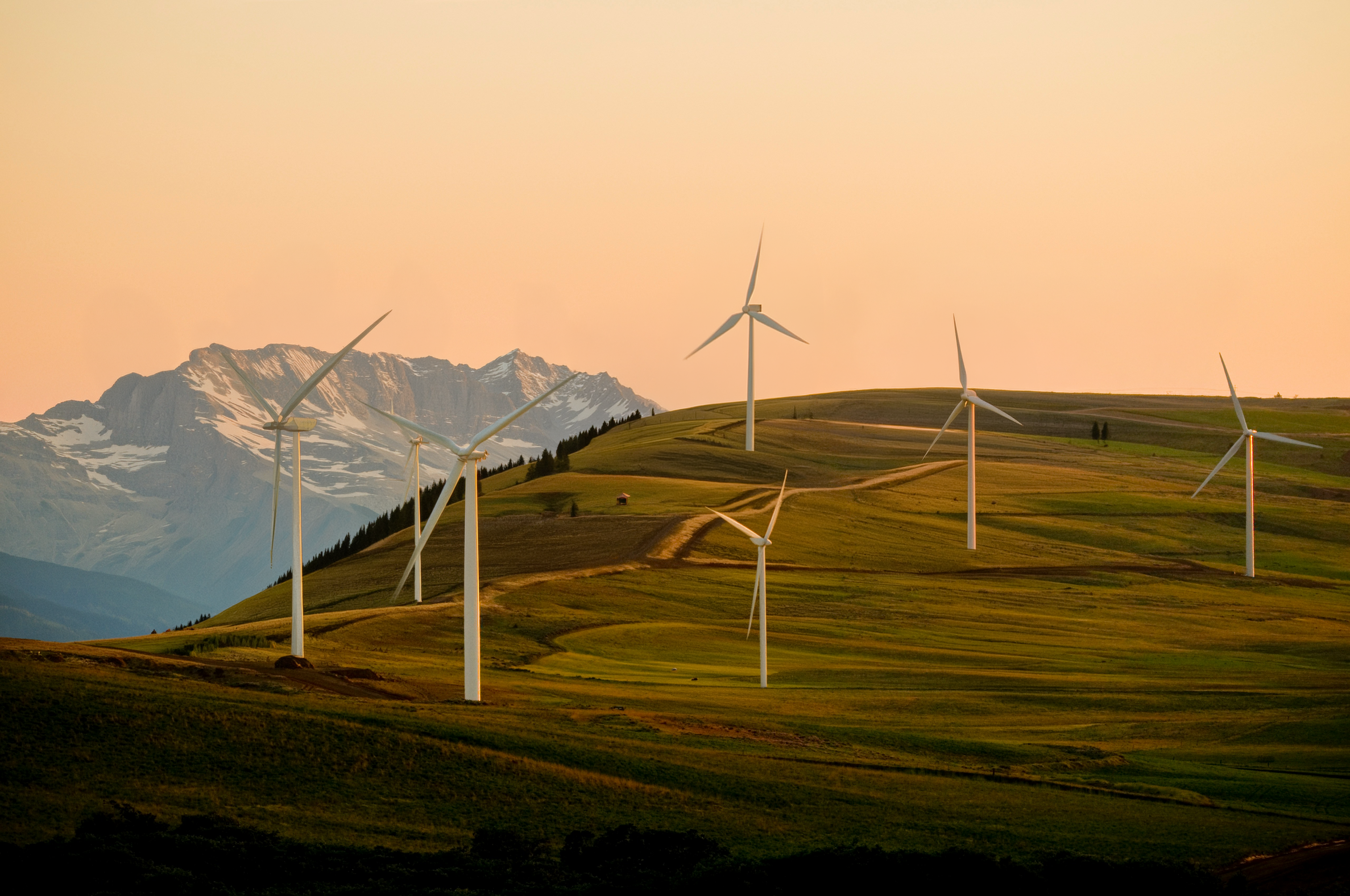 Seed: Magazin Windpark
